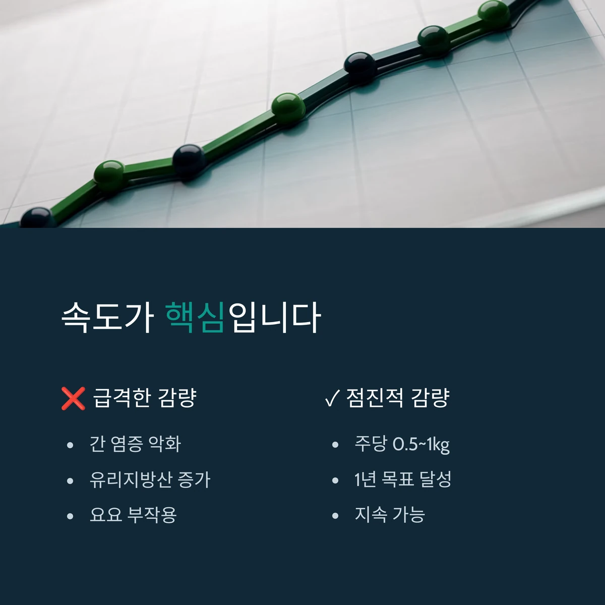 감량의 올바른 속도를 보여주는 인포그래픽