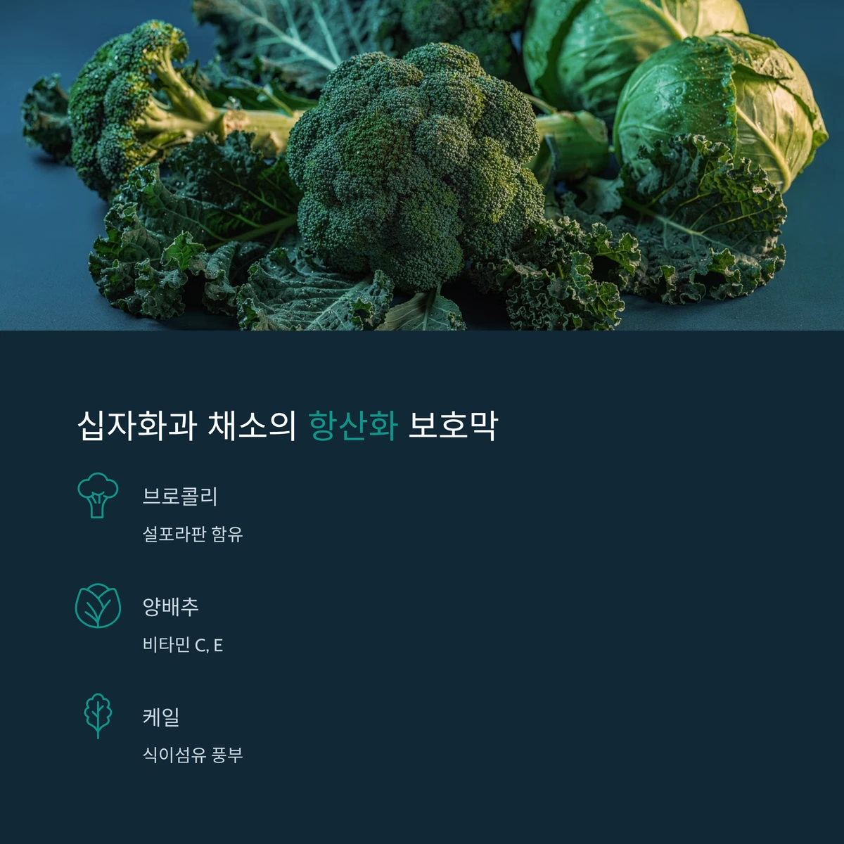 브로콜리와 케일 등 십자화과 채소 모음